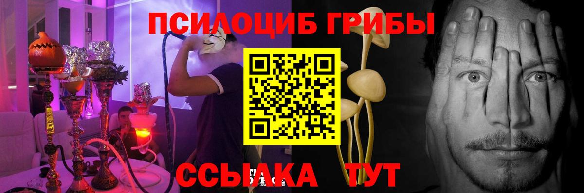 Галлюциногенные грибы Psilocybe  Вход с VPN  сколько стоит  Волгодонск 